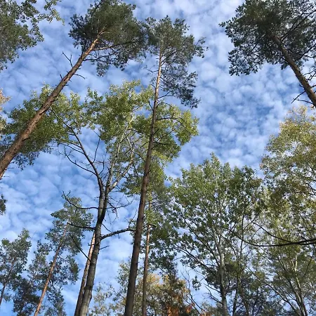 Gemuetliche Mit Pool Bei Jena