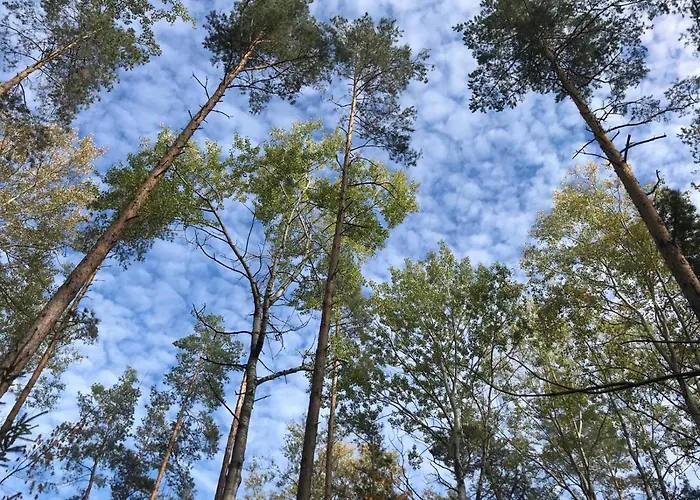 Gemuetliche Mit Pool Bei Jena