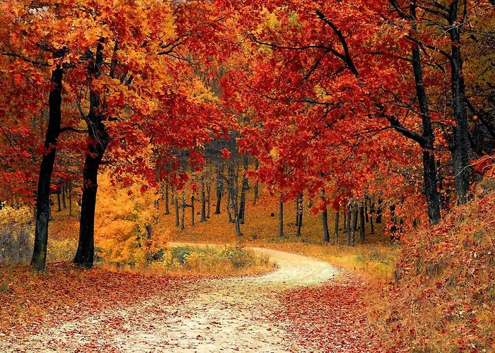 Daire Gemuetliche Mit Pool Bei Jena Kahla (Thuringia)